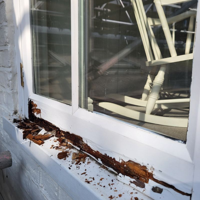 Window Rot Repair in Denver County, CO