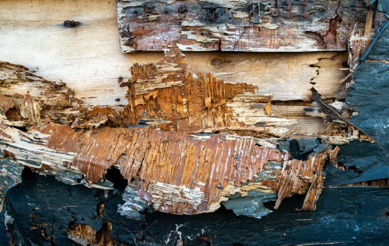 Decayed Wood Replacement in Roswell, GA