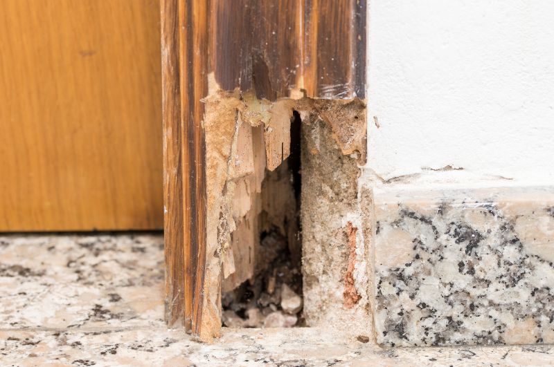 Decayed Wood Replacement in Boulder, CO