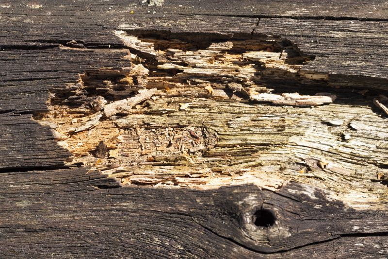 Decayed Wood Replacement in Boulder, CO