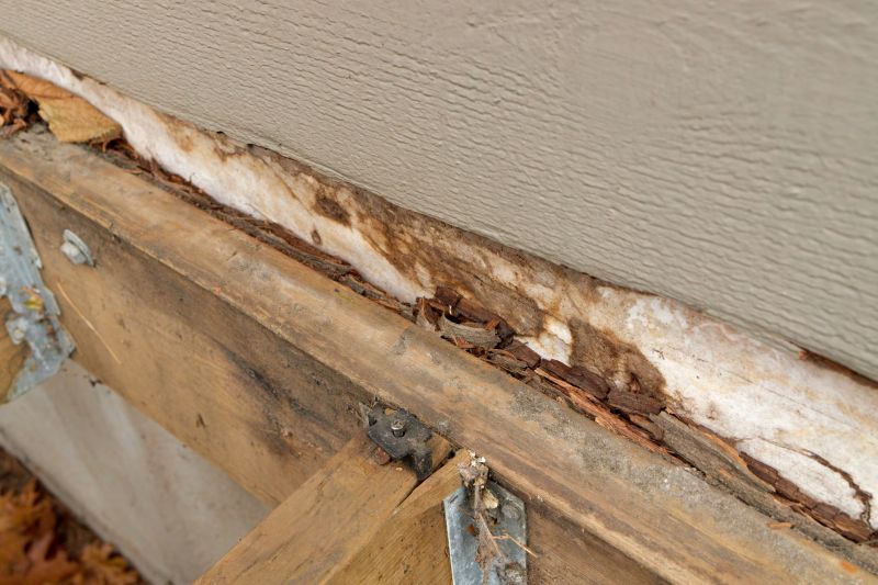 Dry Rot Repair in Boulder, CO