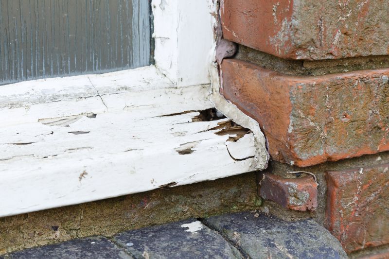 Rot Repair Service in Boulder, CO