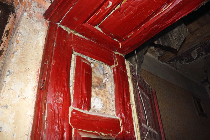 Rot Repair Service in Longmont, CO
