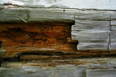 Rotten Wood Repair in Arvada, CO