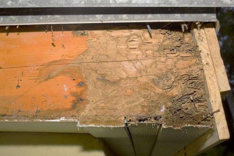 Structural Rot Repair in Longmont, CO