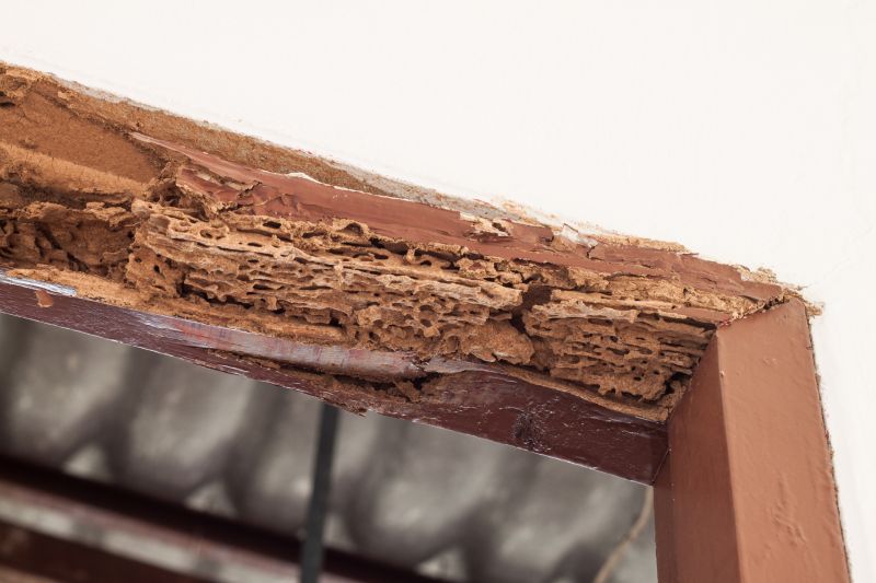 Structural Rot Repair in Denver, CO