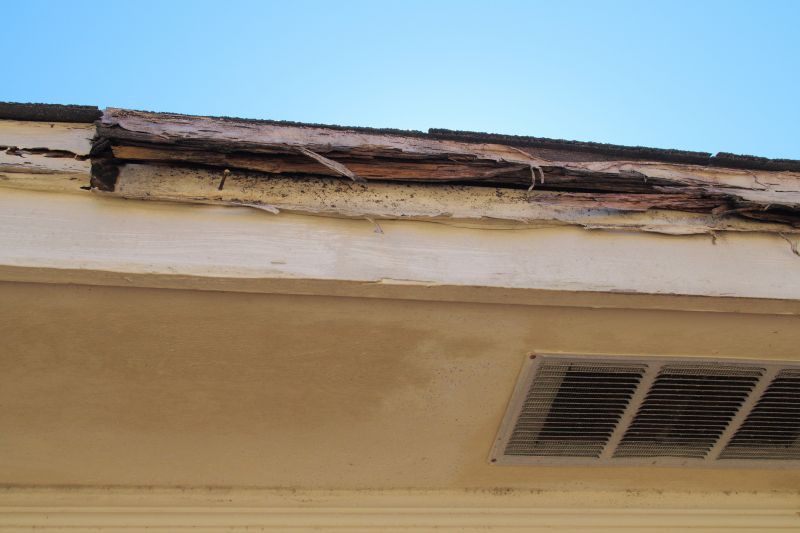 Termite Damage Restoration in Longmont, CO