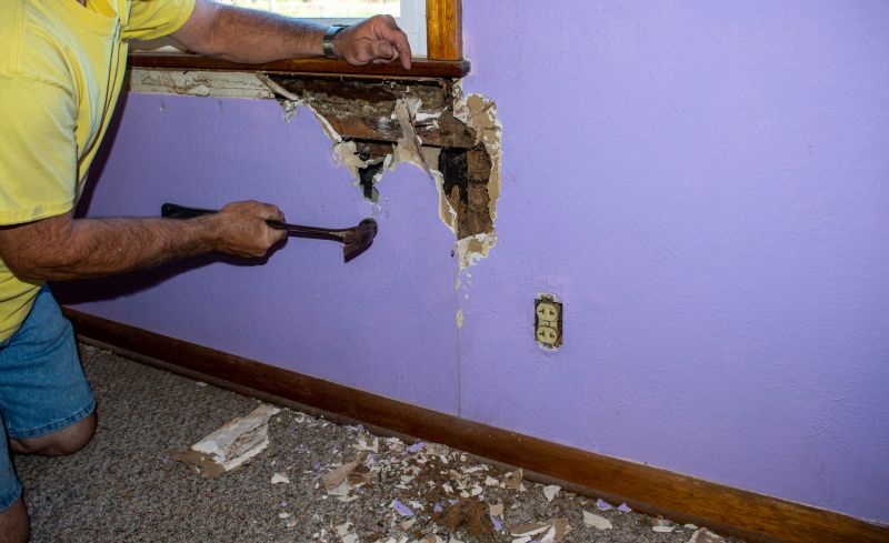 Termite Damage Restoration in Kansas City, MO