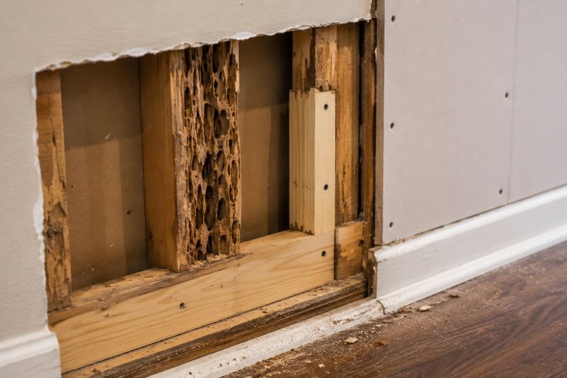 Termite Damage Restoration in Indianapolis, IN