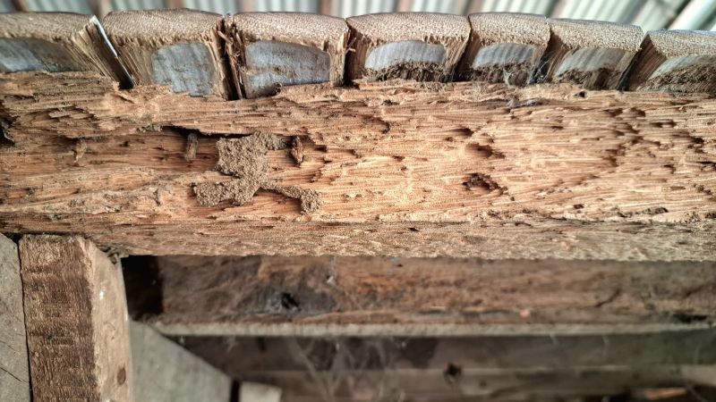 Timber Rot Repair