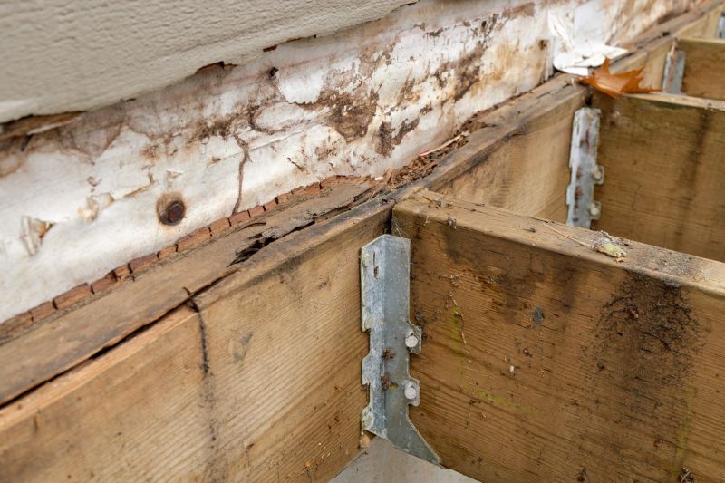 Timber Rot Repair
