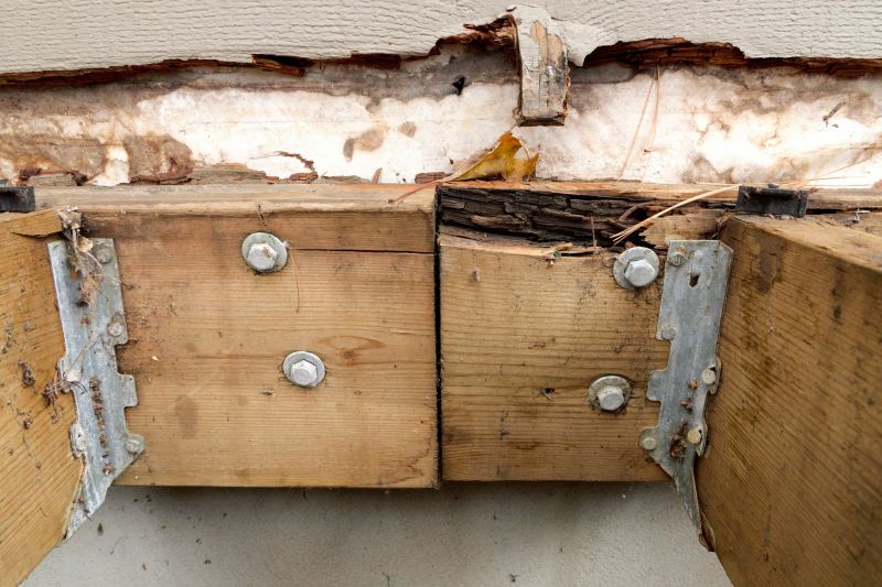 Timber Rot Repair
