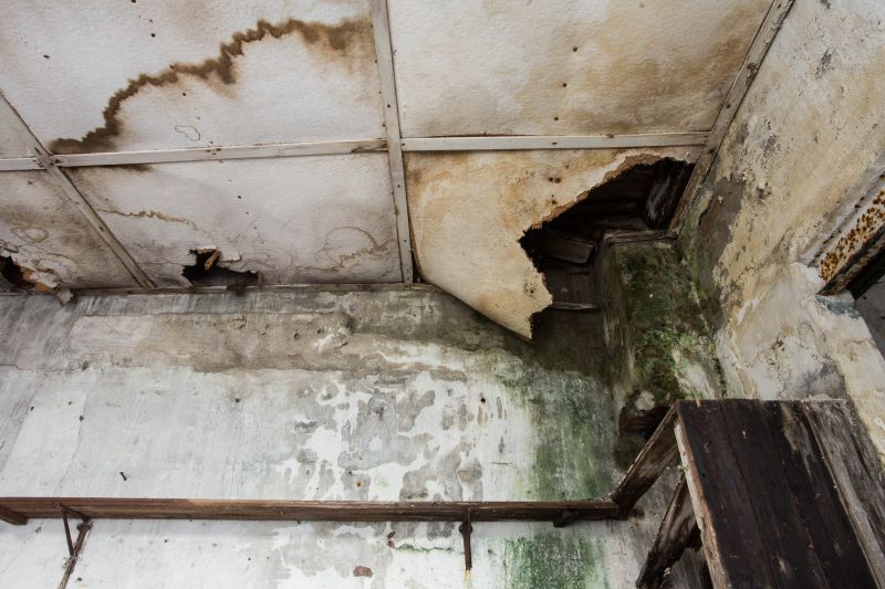 Water Damage Repair in Phoenix, AZ