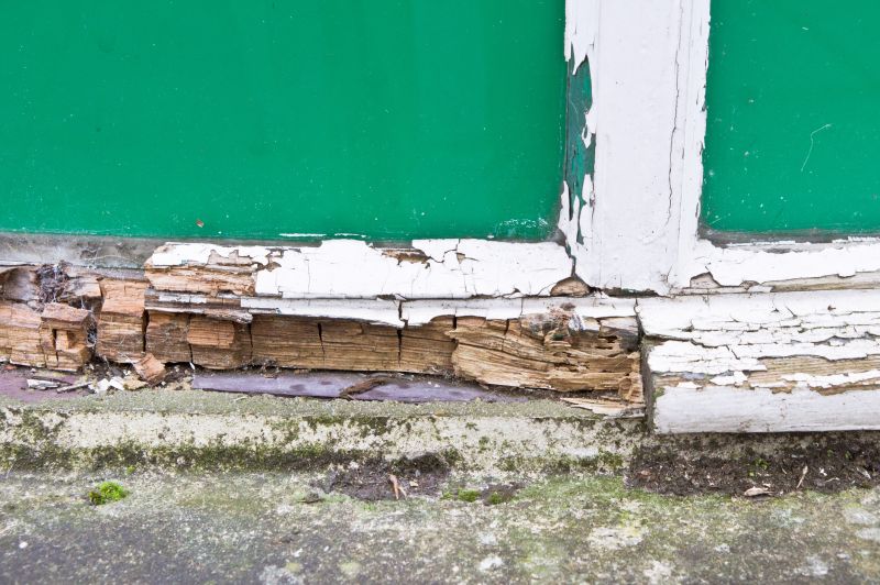 Wood Decay Removal in Boulder, CO
