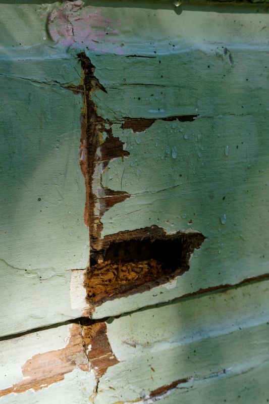 Wood Decay Repair in Overland Park, KS