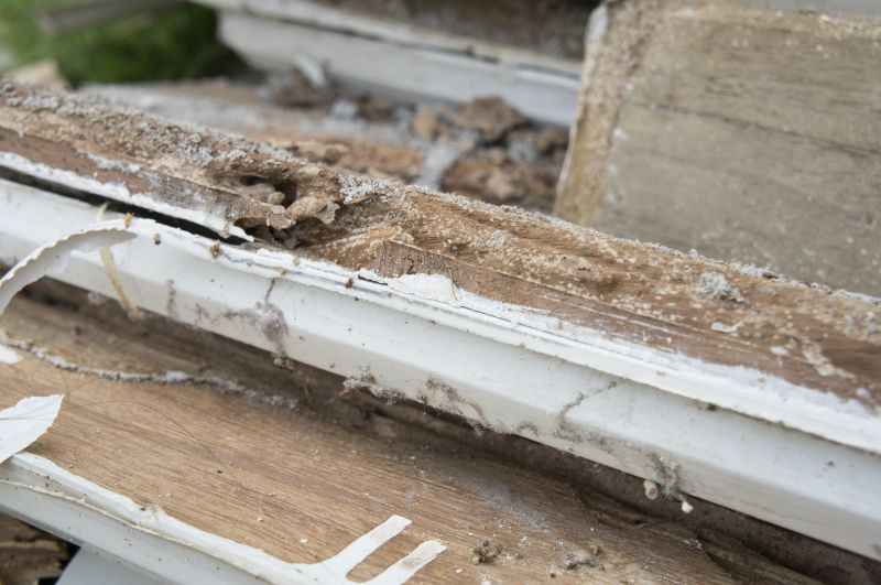 Wood Rot Repair in Denver, CO
